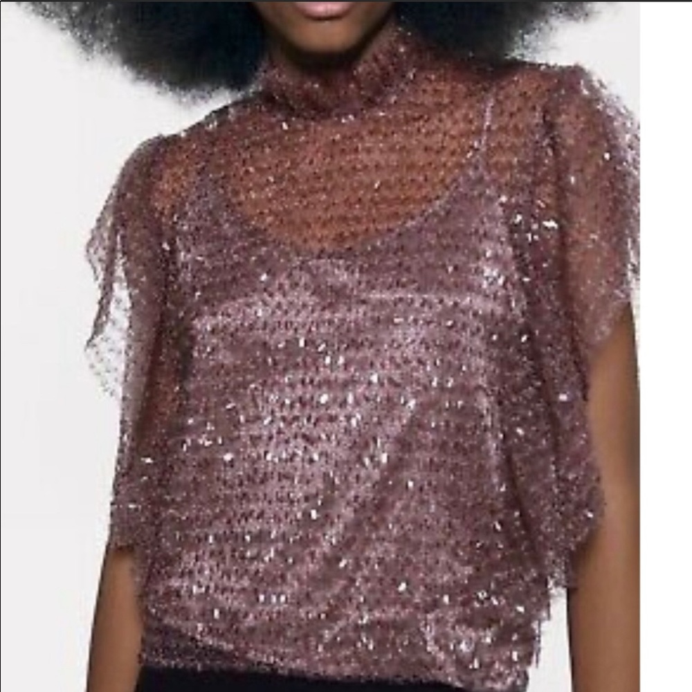 Zara sequin top